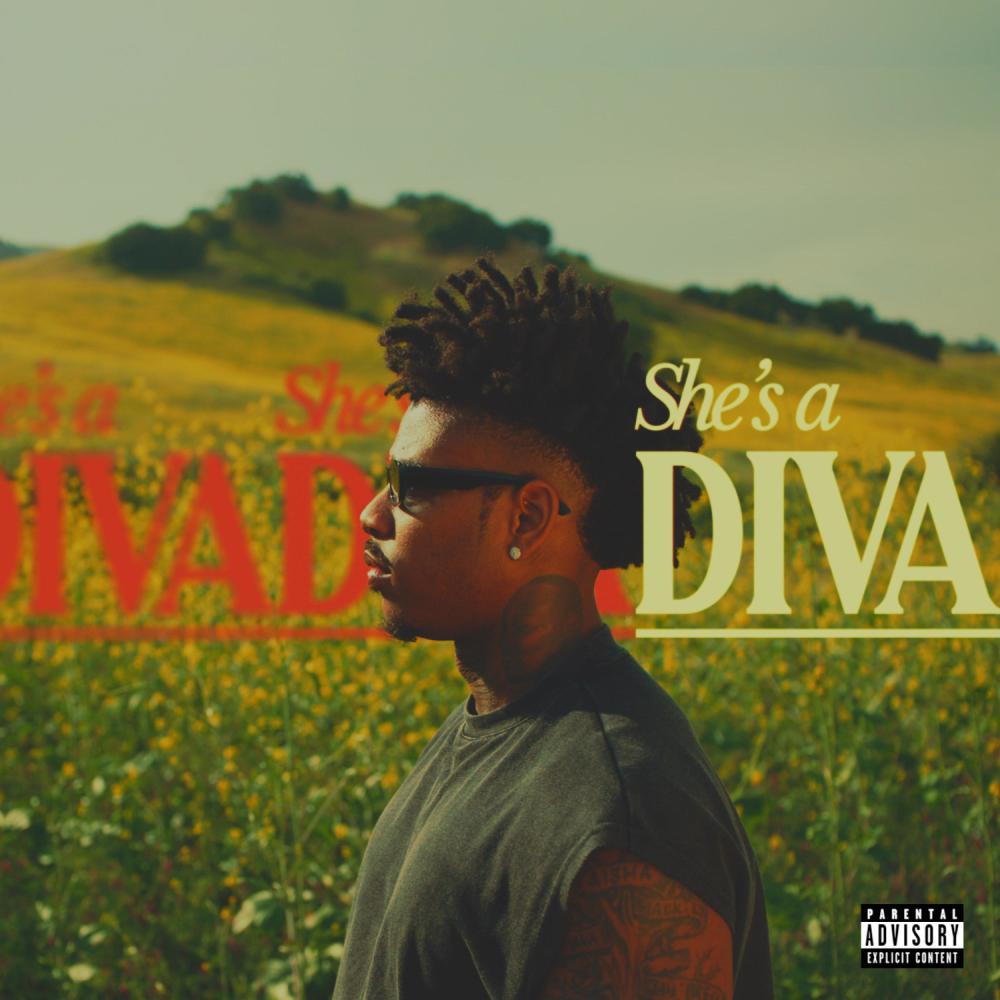 She's a Diva (Explicit)