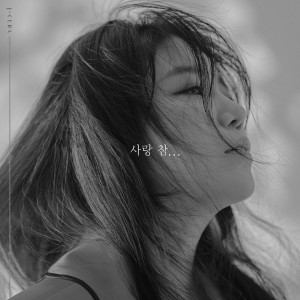 Listen to 사랑 참... (Because of love) song with lyrics from J-Cera
