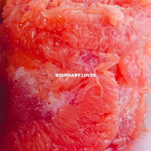 Thumpers的專輯Boundary Loves