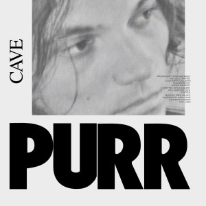 Dengarkan lagu Cave nyanyian Purr dengan lirik