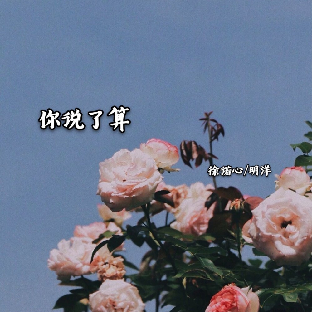 人正不怕影子歪 (DJ版)