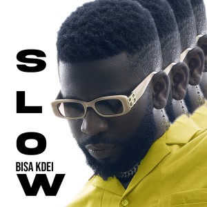 Listen to SLOW (Explicit) song with lyrics from Bisa Kdei