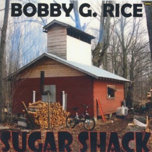 ดาวน์โหลดและฟังเพลง I Got You In My Life พร้อมเนื้อเพลงจาก Bobby G. Rice