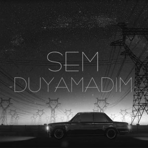 Duyamadım