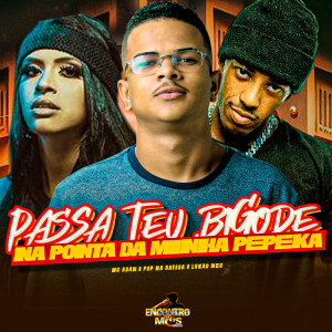 Pop Na Batida的专辑PASSA TEU BIGODE NA PONTA DA MINHA PEPEKA (Explicit)