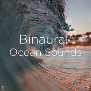 Dengarkan Baby Sleep Ocean lagu dari Ocean Sounds dengan lirik