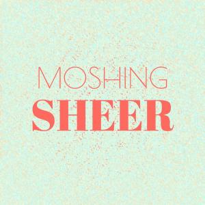 Various Artists的专辑Moshing Sheer