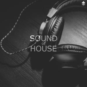 Dengarkan lagu Faded(With Me Now)(feat. Simon Erics) (Radio Edit) nyanyian Dirty Twist dengan lirik