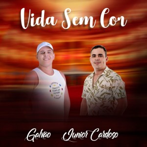 ดาวน์โหลดและฟังเพลง Vida Sem Cor (Explicit) พร้อมเนื้อเพลงจาก Galvão