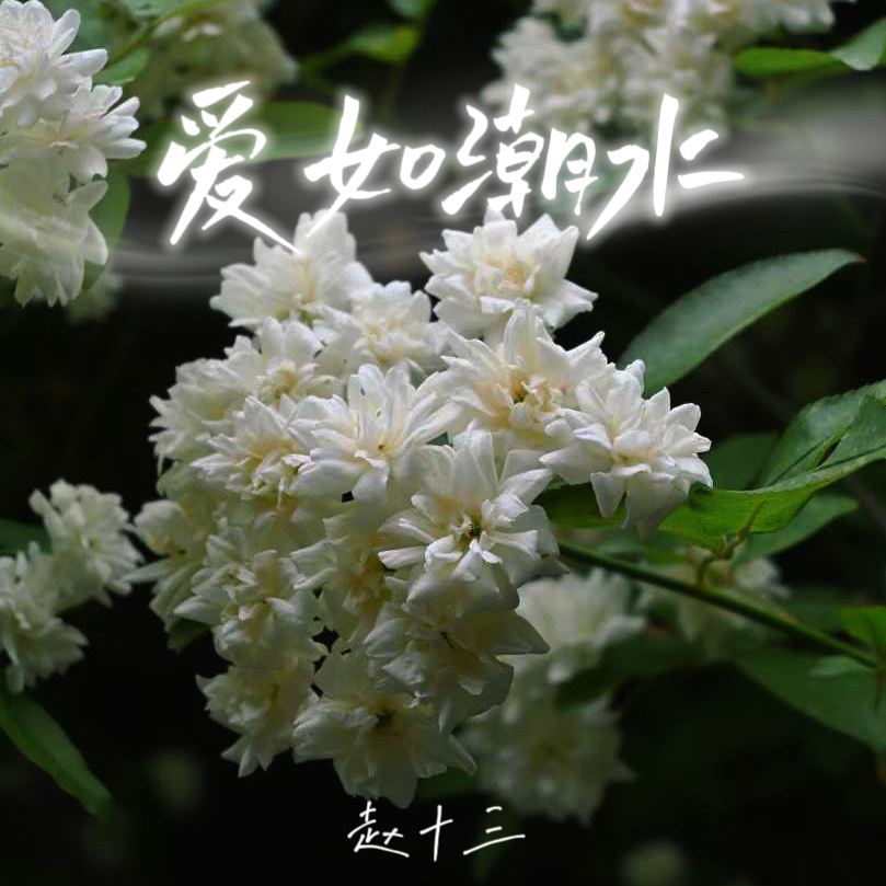 爱如潮水