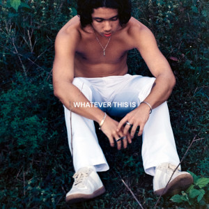 ดาวน์โหลดและฟังเพลง Whatever This Is พร้อมเนื้อเพลงจาก Fern.