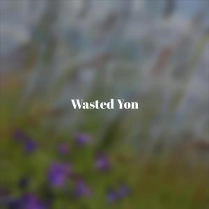 Wasted Yon dari Various