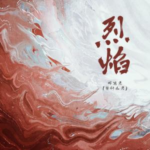 Album 烈焰 from 邓寓君(等什么君)