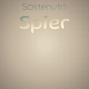 Various的专辑Sostenuto Spier