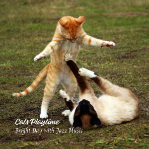 Cats Playtime: Bright Day with Jazz Music