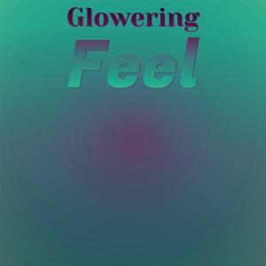 Various Artists的專輯Glowering Feel