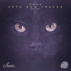 Listen to Dry Tears (Coyu Raw Mix) song with lyrics from Coyu