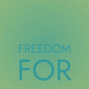 收听Dorit Pader的Freedom For歌词歌曲