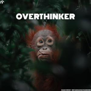 Anant的專輯Overthinker