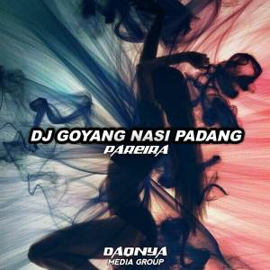 DJ GOYANG NASI PADANG