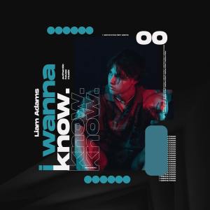 Dengarkan lagu I Wanna Know (Extended Mix) nyanyian Liam Adams dengan lirik