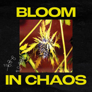 Tatie Dee的專輯Bloom In Chaos