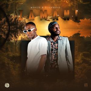 收聽Mshizo的Madhuna Mtuna (feat. Slickartie & Soulking)歌詞歌曲