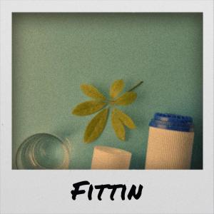 Album Fittin oleh Various Artists