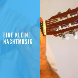 威爾海爾姆·富爾特文格勒的專輯Eine kleine Nachtmusik