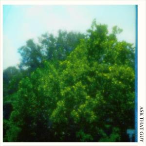 收聽.Gav的ask that guy歌詞歌曲