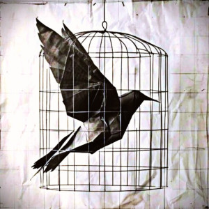 Listen to Caged Bird (Explicit) song with lyrics from Dominic LynX