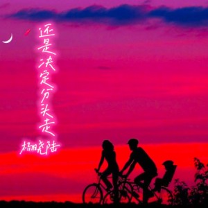 Album 还是决定分头走(流行版) from 杨晓陆