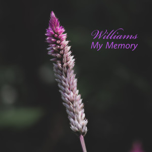 收听Williams的My Memory歌词歌曲