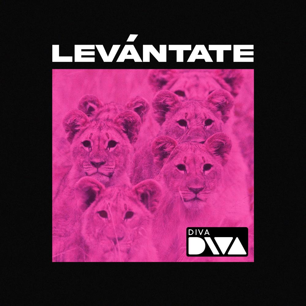 Levántate