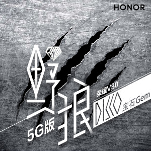 Album 野狼disco（荣耀V30 5G版） oleh 宝石Gem