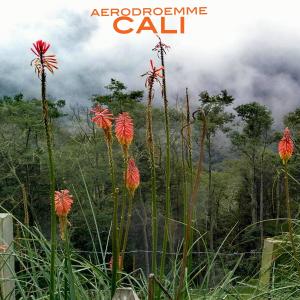 Aerodroemme的专辑Cali