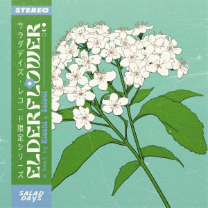 Listen to elderflower song with lyrics from Kioshi