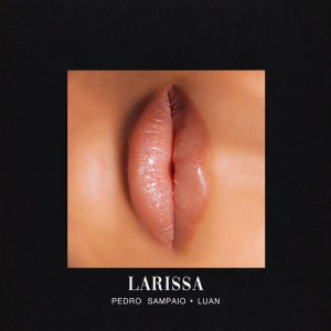 ดาวน์โหลดและฟังเพลง LARISSA พร้อมเนื้อเพลงจาก Pedro Sampaio