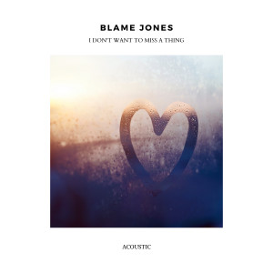 ดาวน์โหลดและฟังเพลง I Don't Want to Miss a Thing (Acoustic) พร้อมเนื้อเพลงจาก Blame Jones