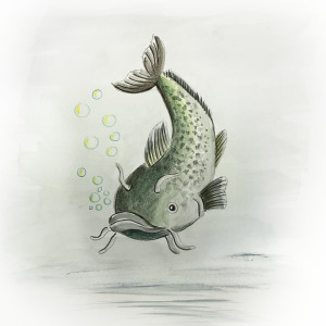 Album catfish from MF Eistee