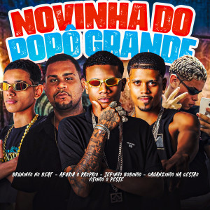 收聽Afuria o Proprio的Novinha do Popô Grande (Explicit)歌詞歌曲