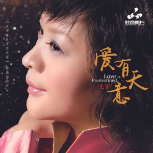 Album 爱有天意 from 曼丽