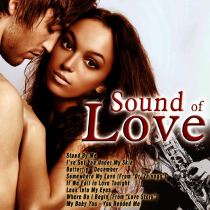 อัลบัม Sound of Love ศิลปิน DJ In the Night