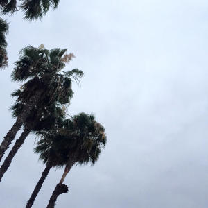 收聽.Uzu的im sorry.歌詞歌曲