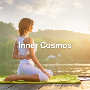 Music for Kids to Sleep的专辑Inner Cosmos