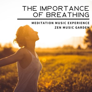 Zen Music Garden的专辑The Importance of Breathing