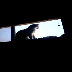 收聽Ishy的Burger (Explicit)歌詞歌曲