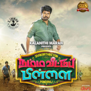 ดาวน์โหลดและฟังเพลง Mailaanji (From "Namma Veettu Pillai") พร้อมเนื้อเพลงจาก D. Imman