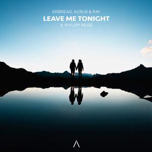 Listen to Leave Me Tonight (feat. Philipp Reise) song with lyrics from Krbread
