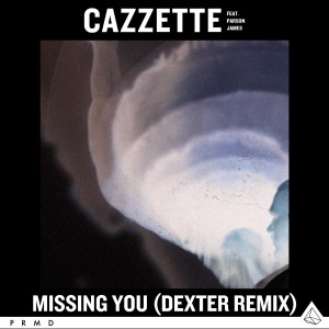 CAZZETTE的專輯Missing You (Dexter Remix)